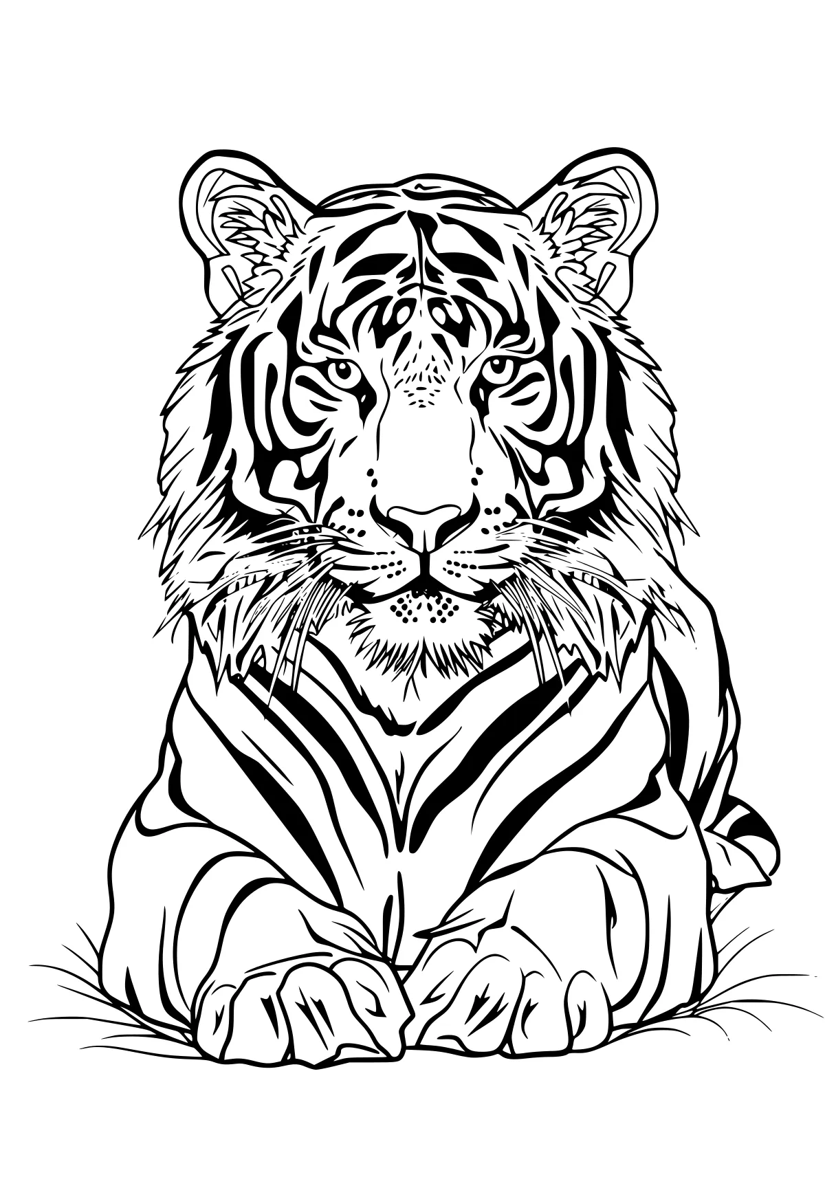 tiger coloring pages tiger, zebra, illustrator, lion, free page downloads