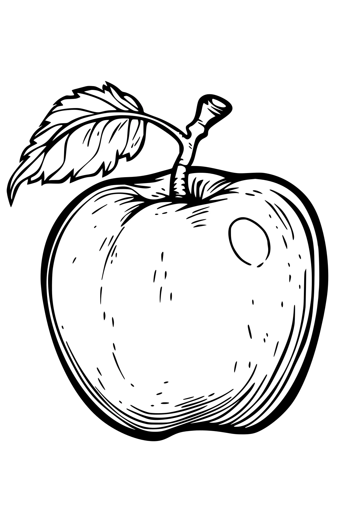 apple coloring sheet apple, a4, illustrator, acorn, wall, free page downloads