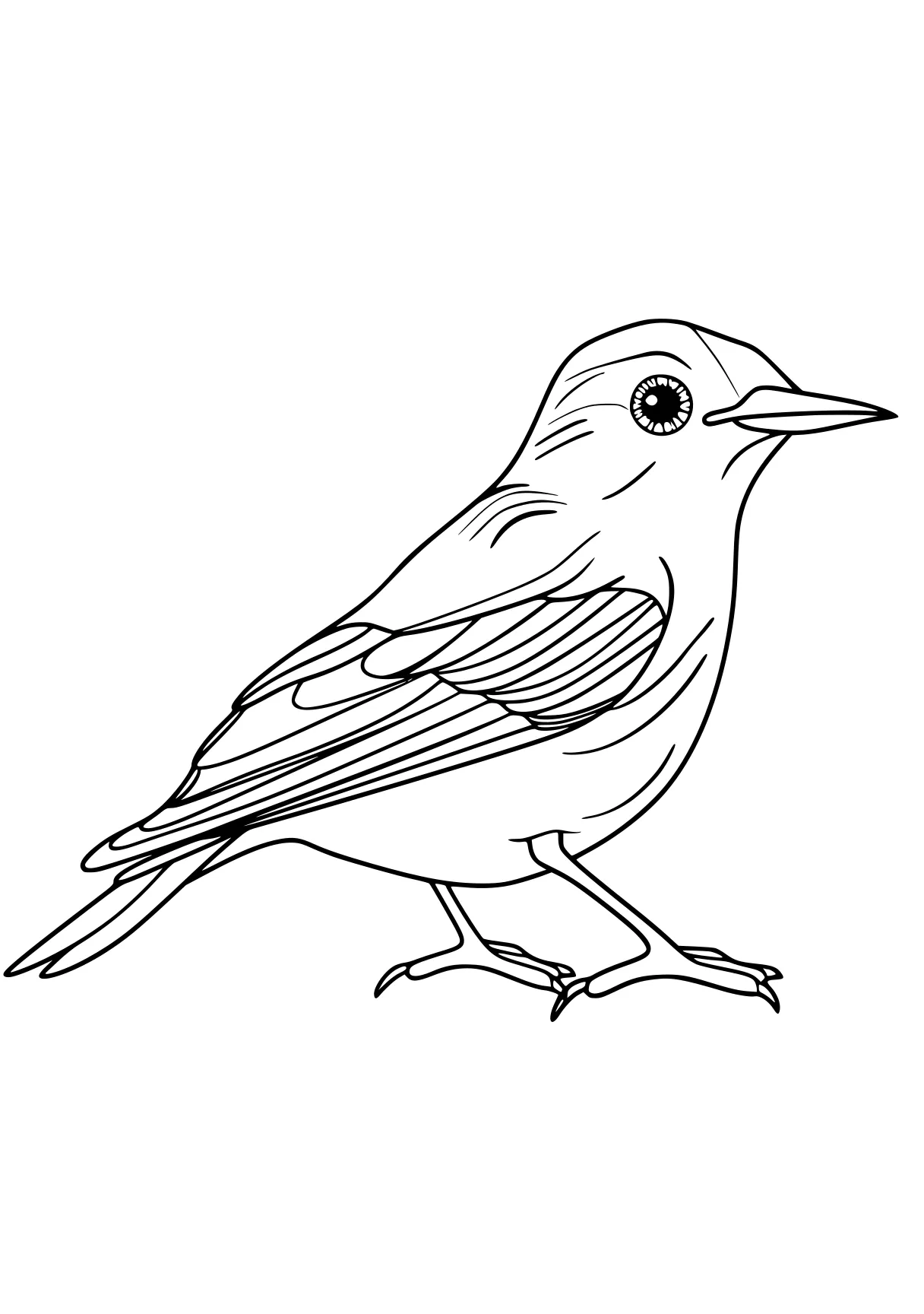 bird coloring pages printable, KIDS page for kids style of book, empty background, super thick black vector lines, and white, Black-and-white Bold Outlined Thick-lined Flat 2D, Simple, Clean, Cartoonish, Unfilled, Solid, Playful  shading shadow text fonts letters watermark words typography slogans strokes sketch signature gray grey dither dithering grayscale 70:99