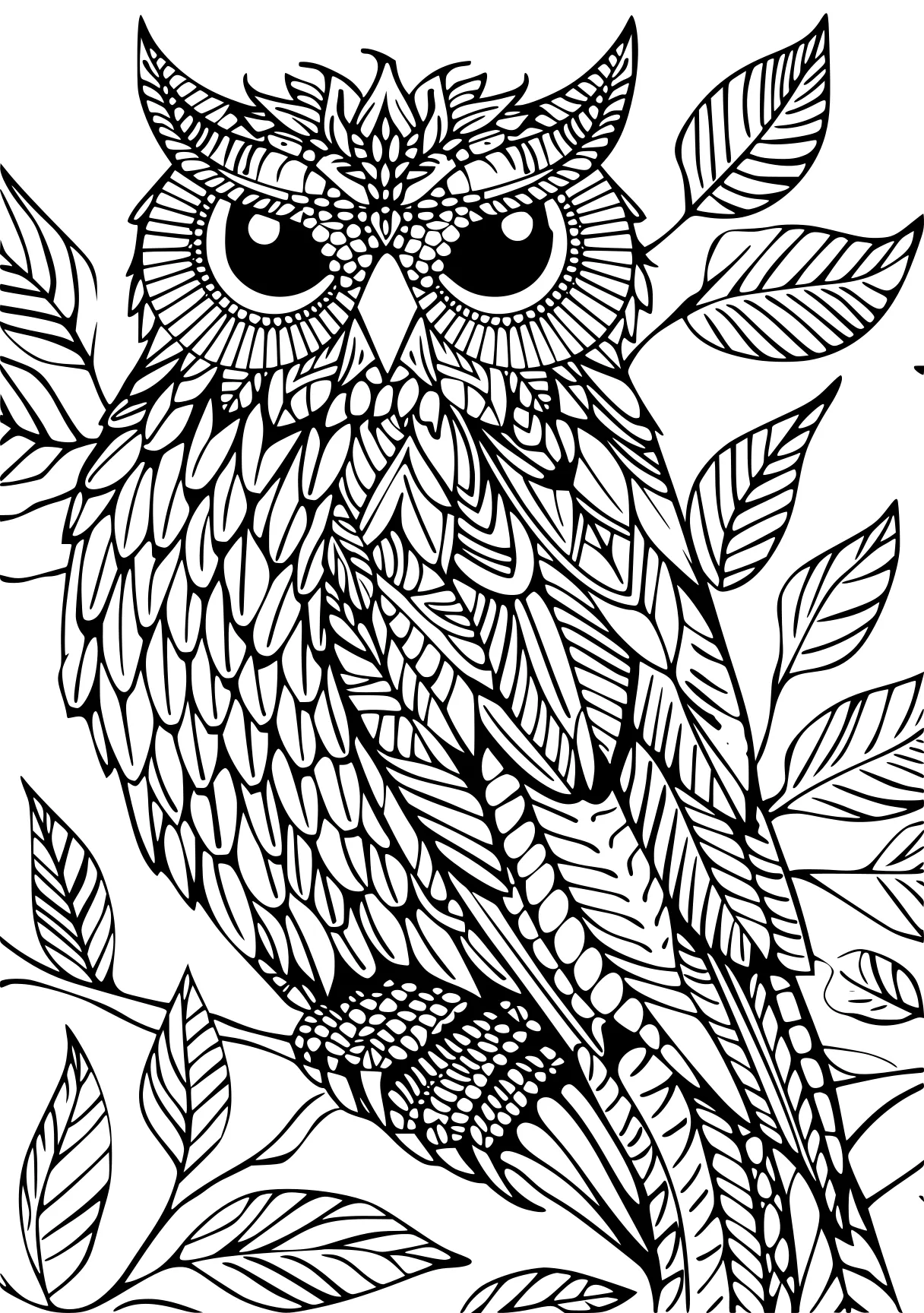 elemental coloring pages owl, zentangle, illustrator, free page downloads