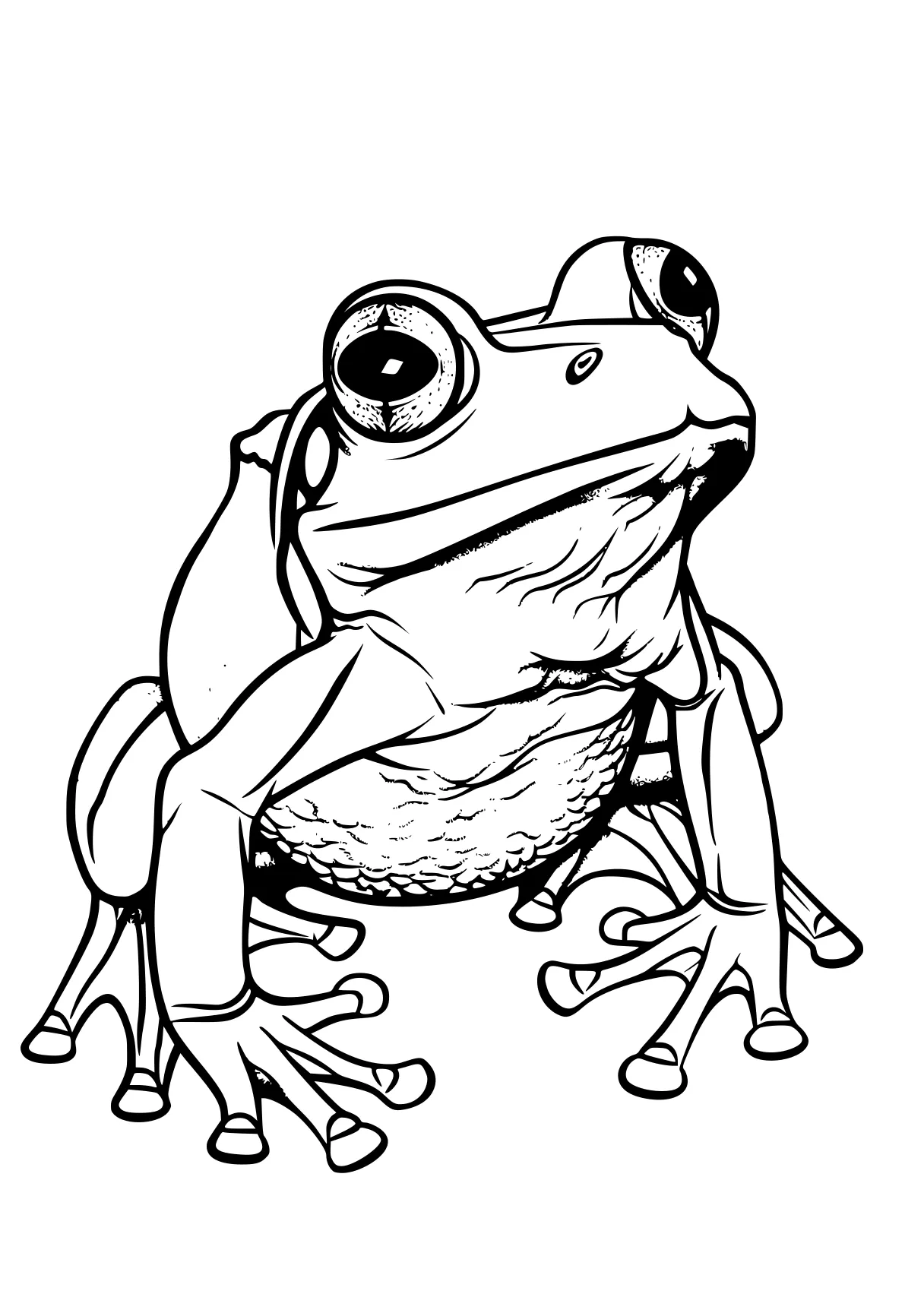 frog coloring pages frog, toad, illustrator, tayo, a4, free page downloads