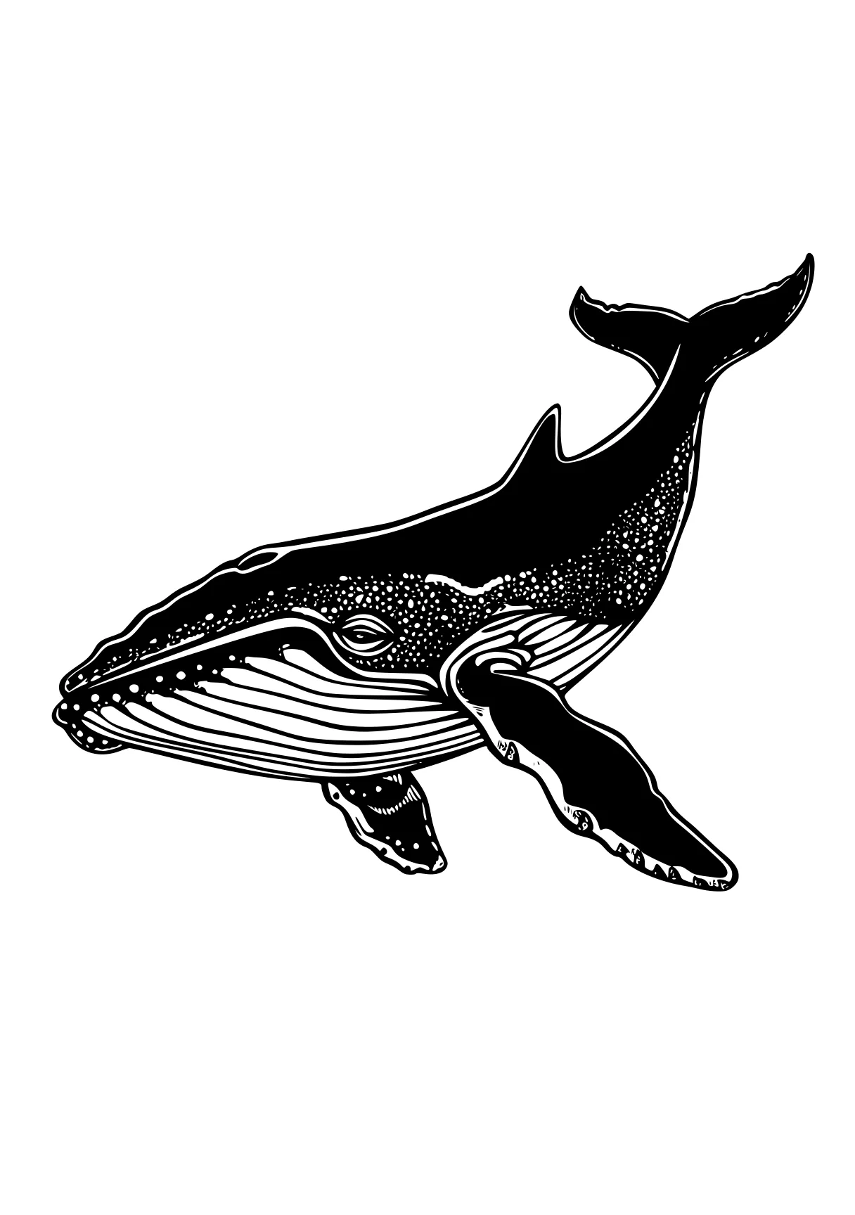 whale coloring page orca, whale, whales, dolphin, mosasaurus, free downloads