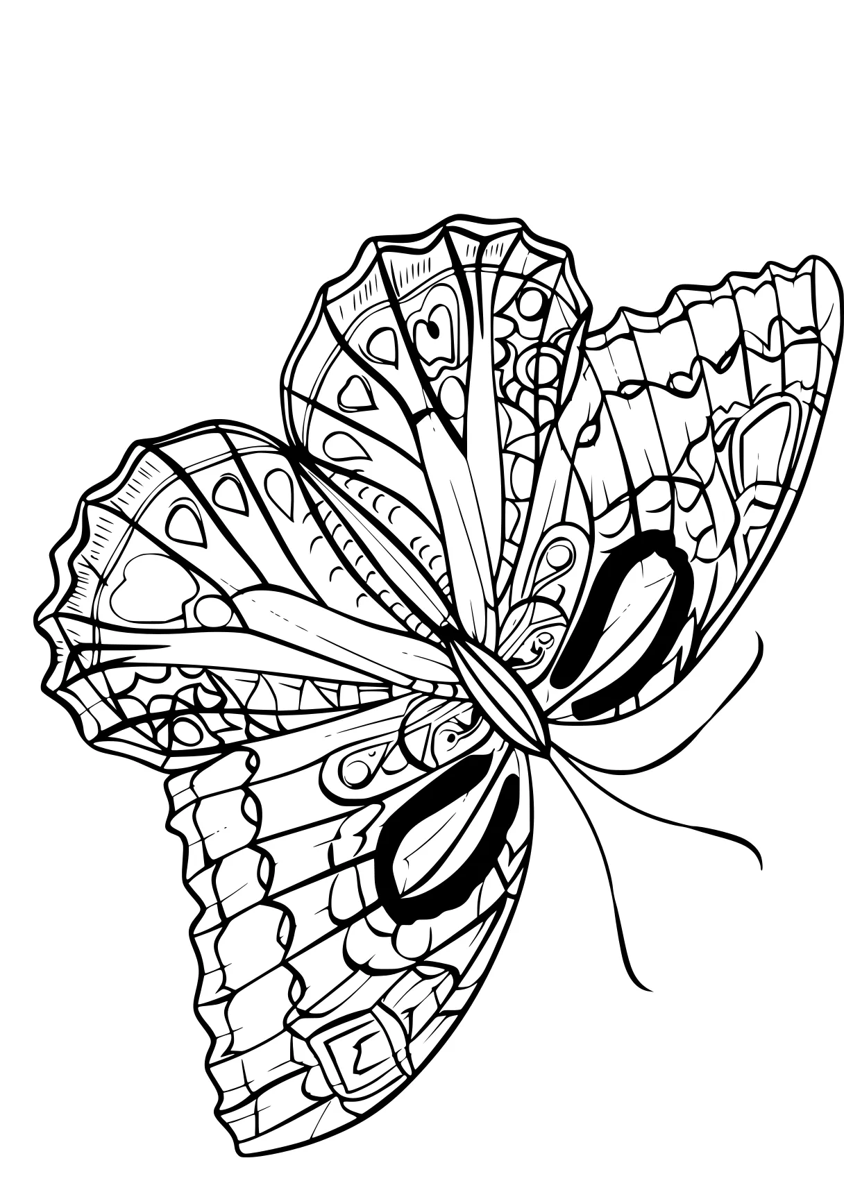 butterfly coloring sheet zentangle, butterfly, insects, free page downloads