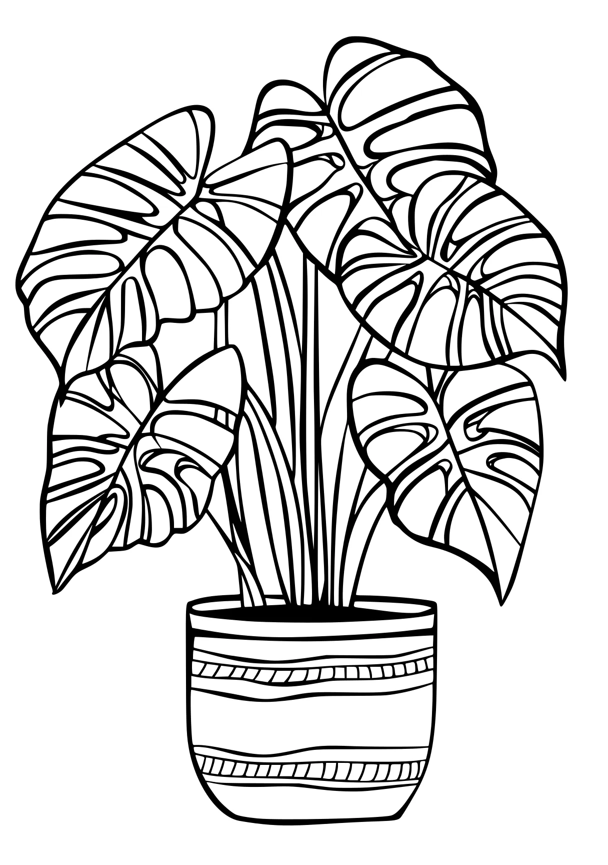 plant coloring pages plant, palm, plants, free page downloads