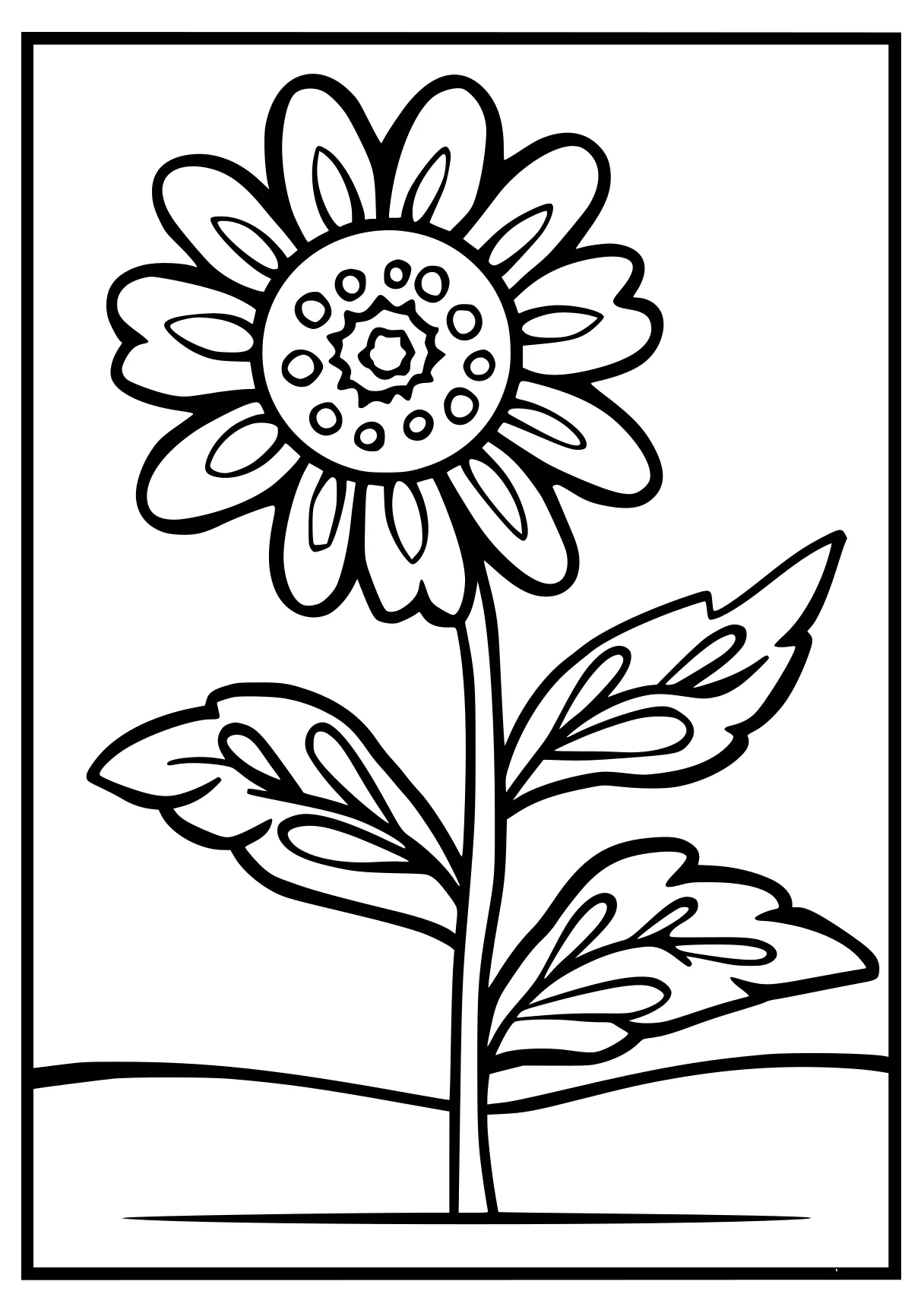 free adult coloring sheets, flower, sunflower, zentangle, page downloads