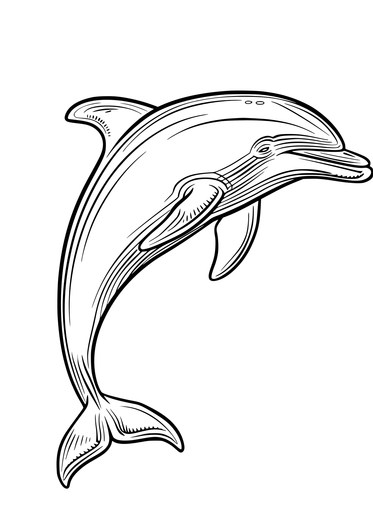 dolphin coloring sheet dolphin, whale, whales, orca, mosasaurus, free page downloads