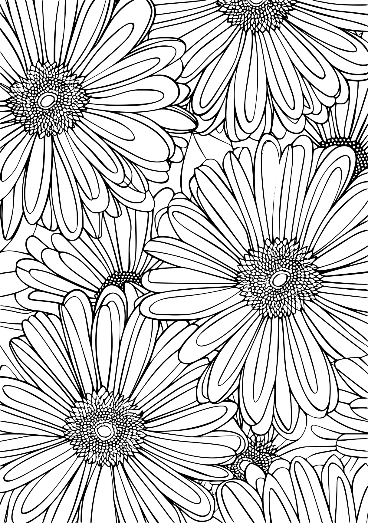 flower coloring, pattern, daisy, colouring, free page downloads