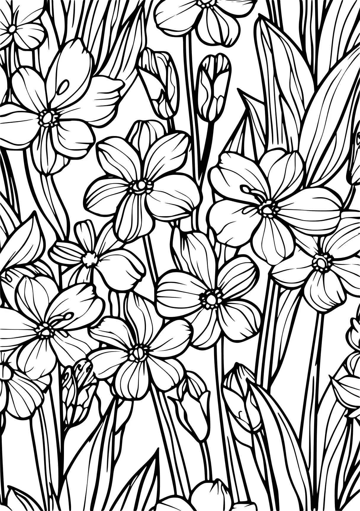 spring coloring, colouring, tulip, pattern, free page downloads