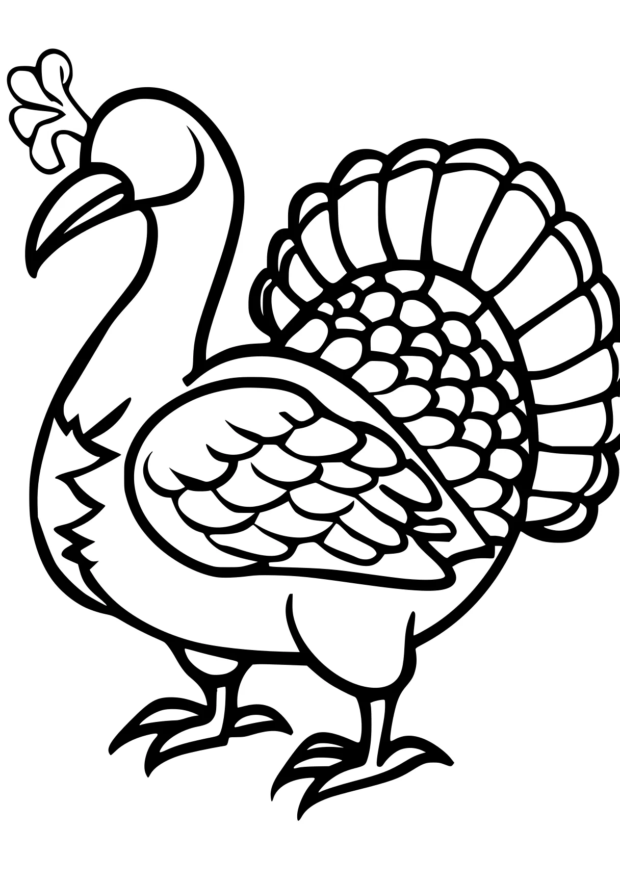 turkey coloring sheet rooster, turkey, thanksgiving, size, free page downloads