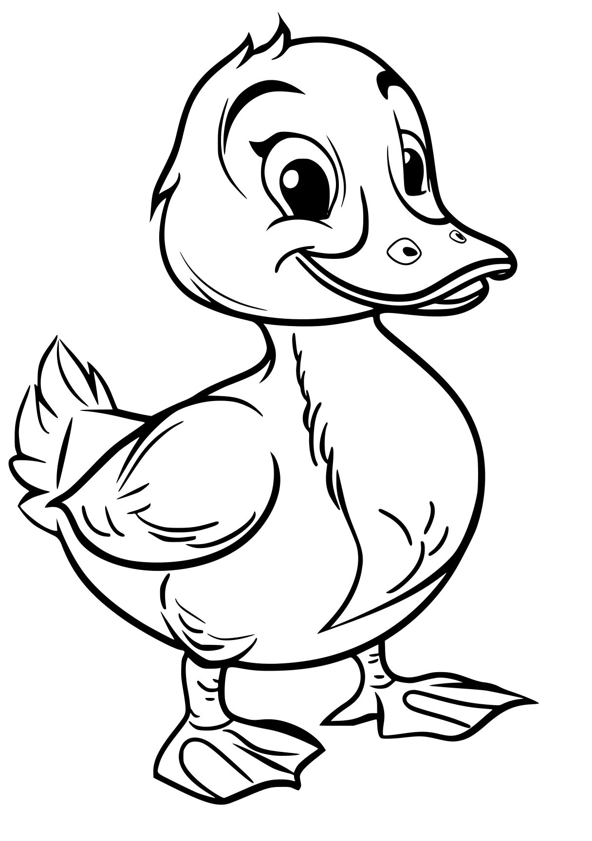 duck coloring page duck, donald, bird, chick, chica, free downloads