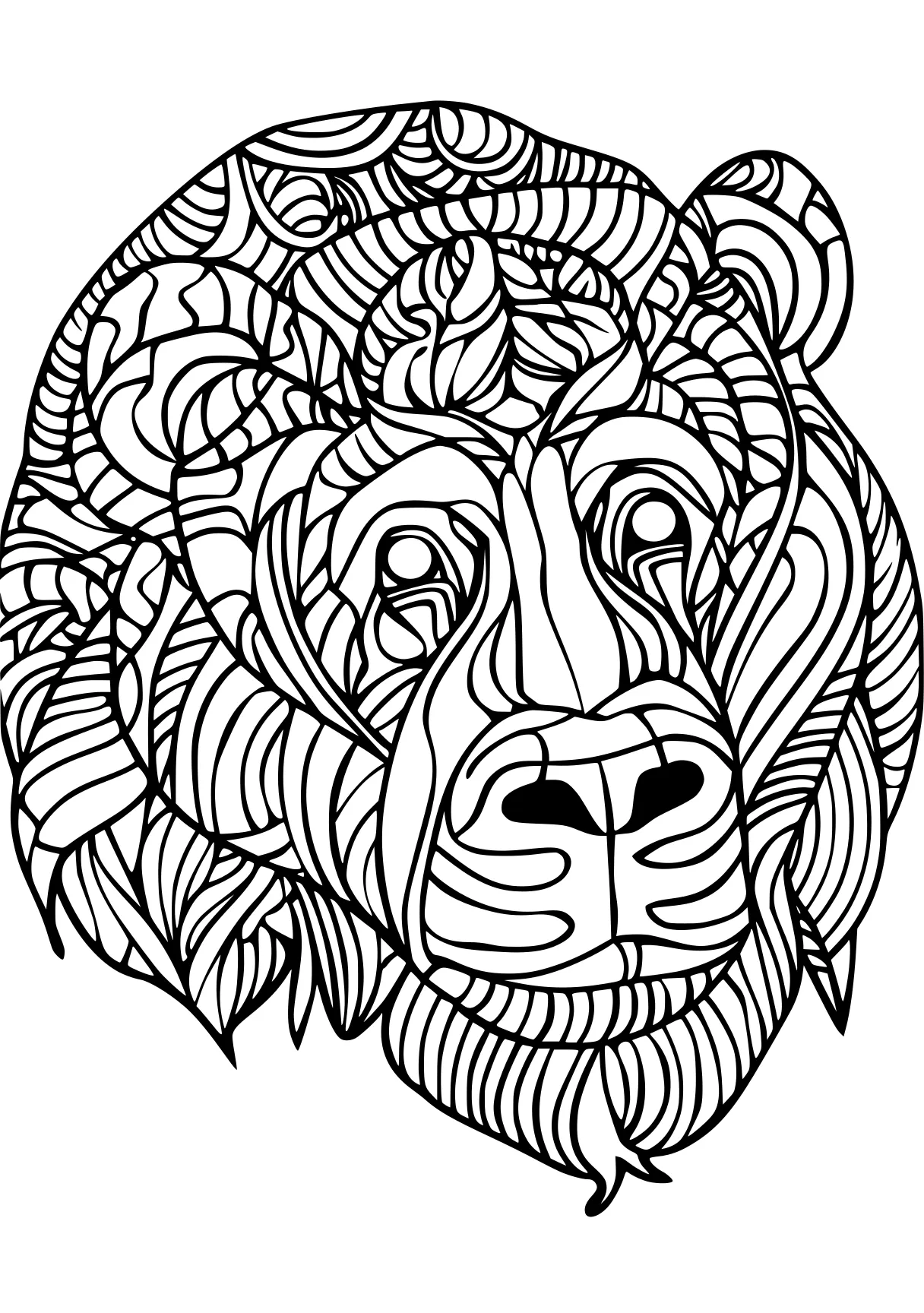 animal pictures to color, lion, illustrator, colouring, free coloring page downloads