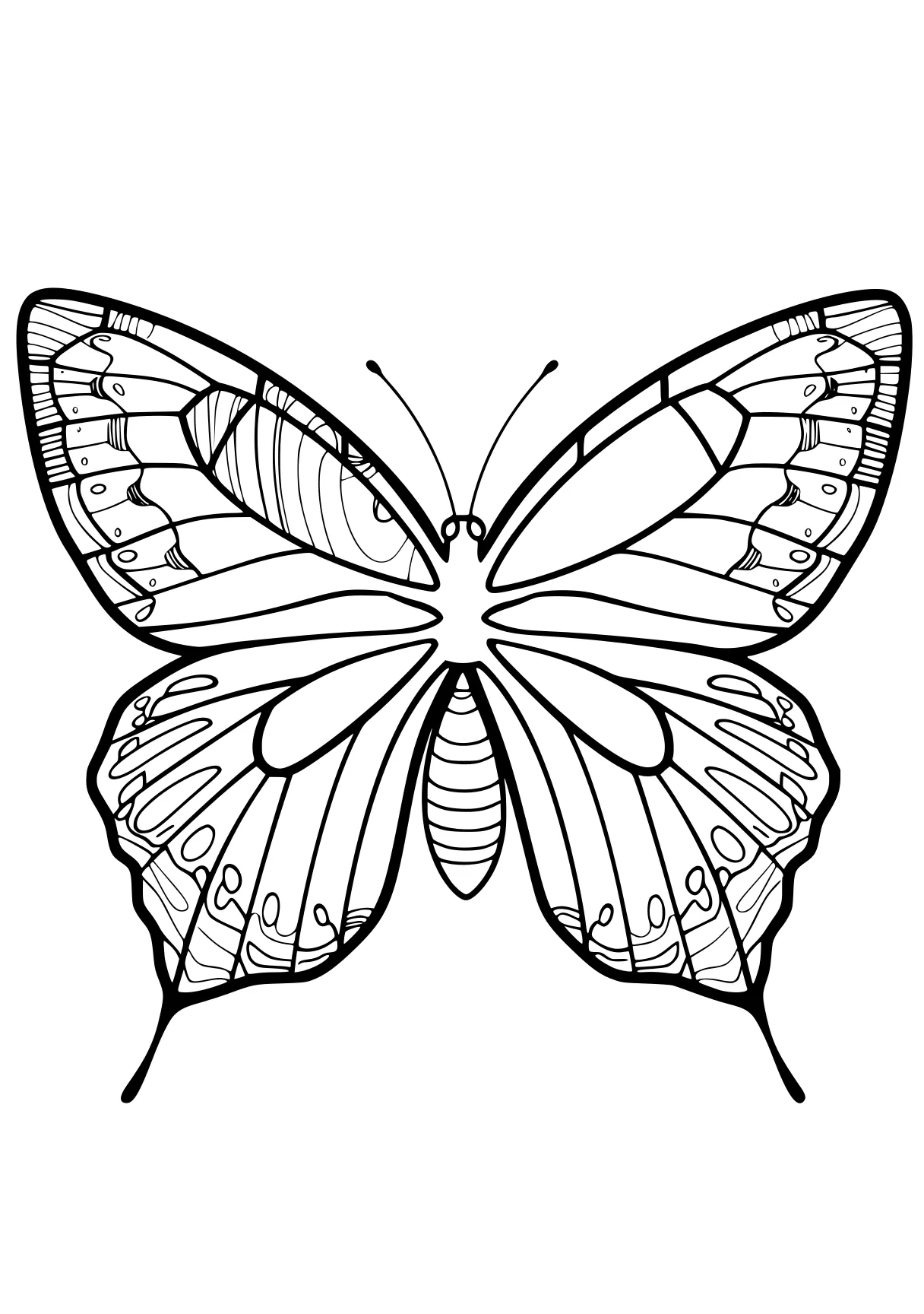 butterfly coloring butterfly, butterflies, insect, free page downloads