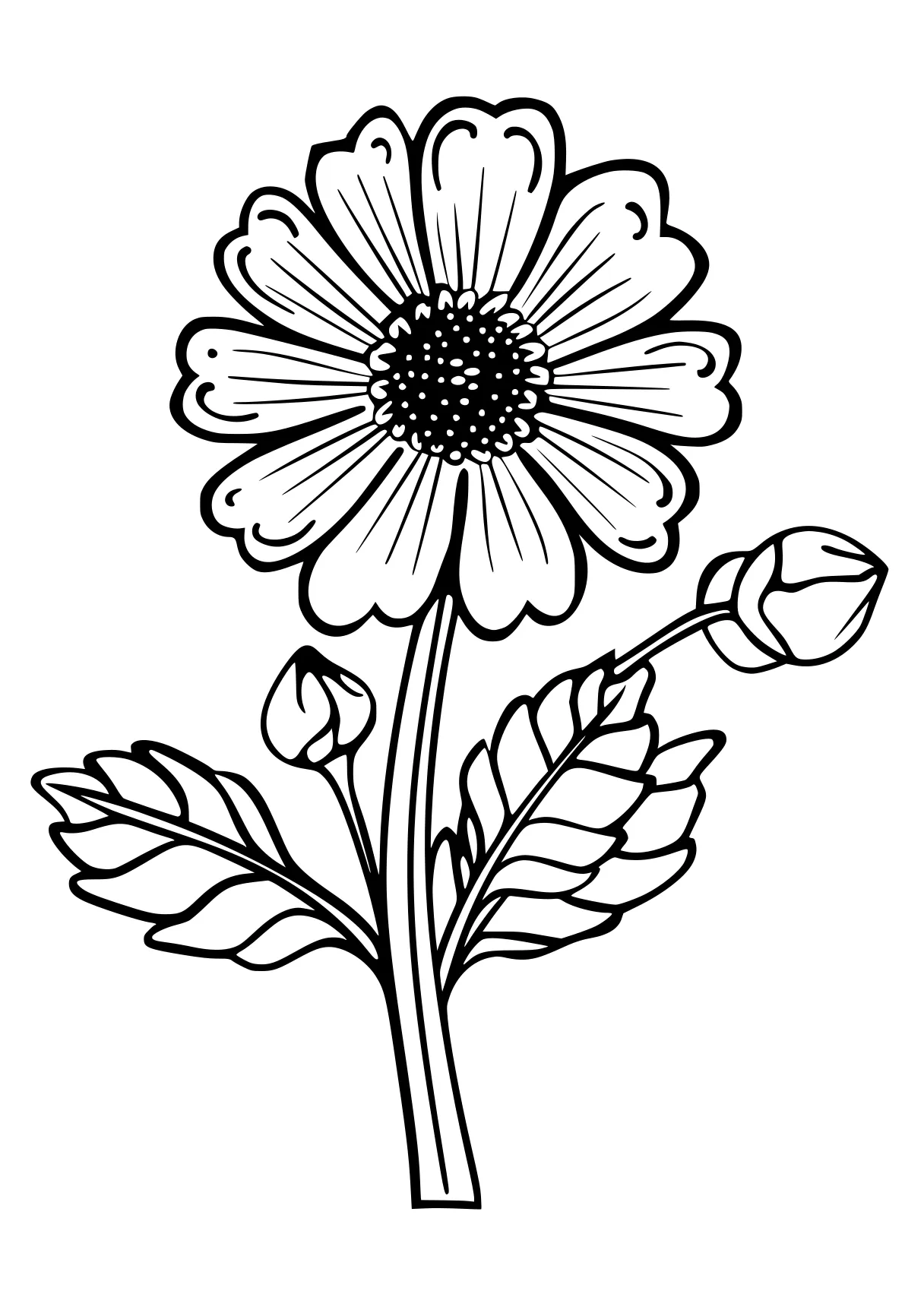 flower coloring pages flower, daisy, flowers, free page downloads