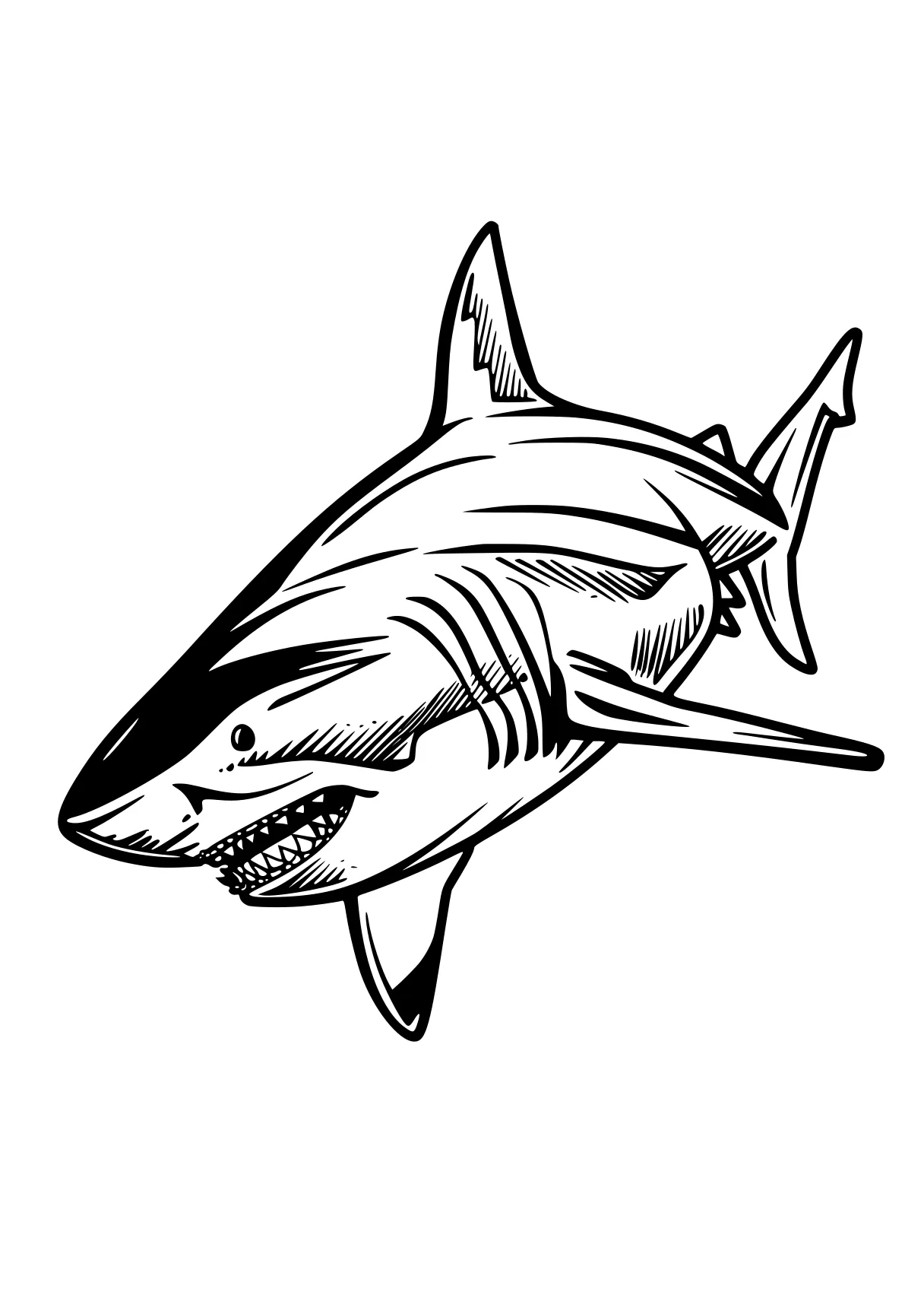 shark coloring page megalodon, shark, orca, sharks, fish, free downloads