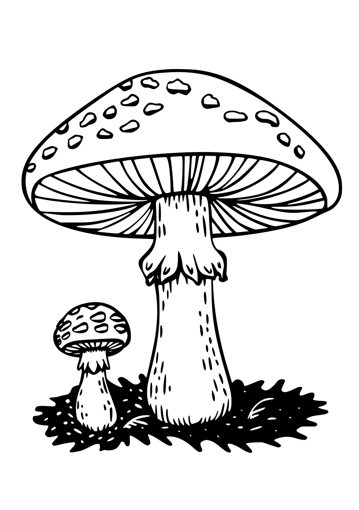 mushroom coloring page mushroom, size, illustrator, free downloads