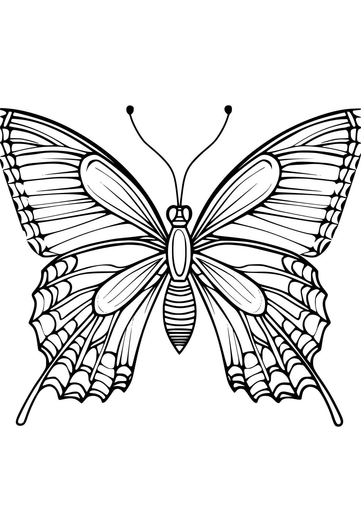 butterfly coloring insect, butterfly, adult, insects, bee, free page downloads