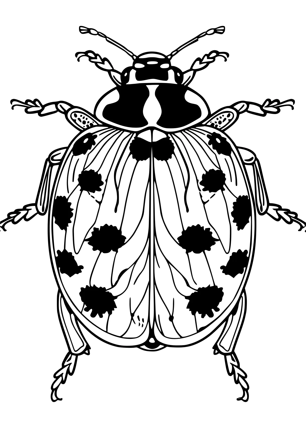 miraculous ladybug colouring pages insect, insects, size, bee, ladybug, free coloring page downloads