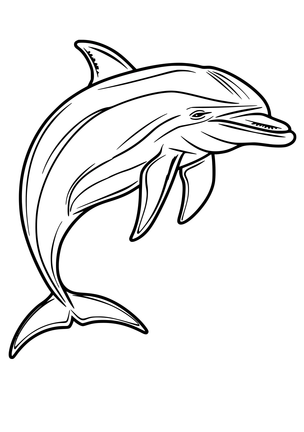 dolphin coloring pages dolphin, fish, whale, orca, shark, free page downloads