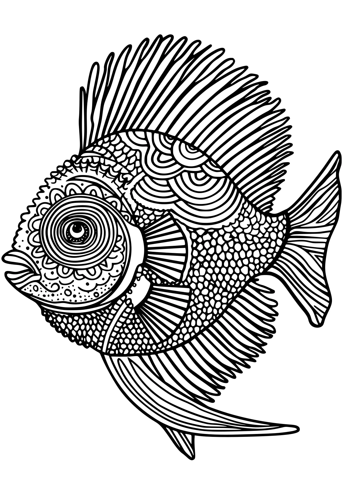 fish coloring pages fish, zentangle, nemo, illustrator, head, free page downloads