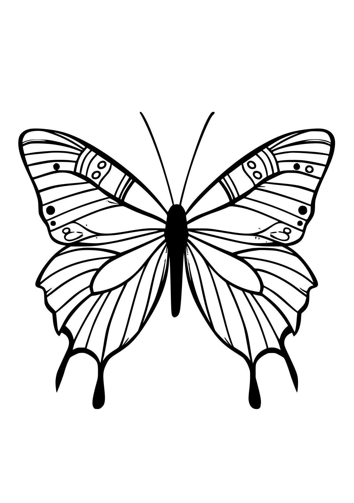 butterfly coloring sheet butterfly, butterflies, insect, insects, bee, free page downloads