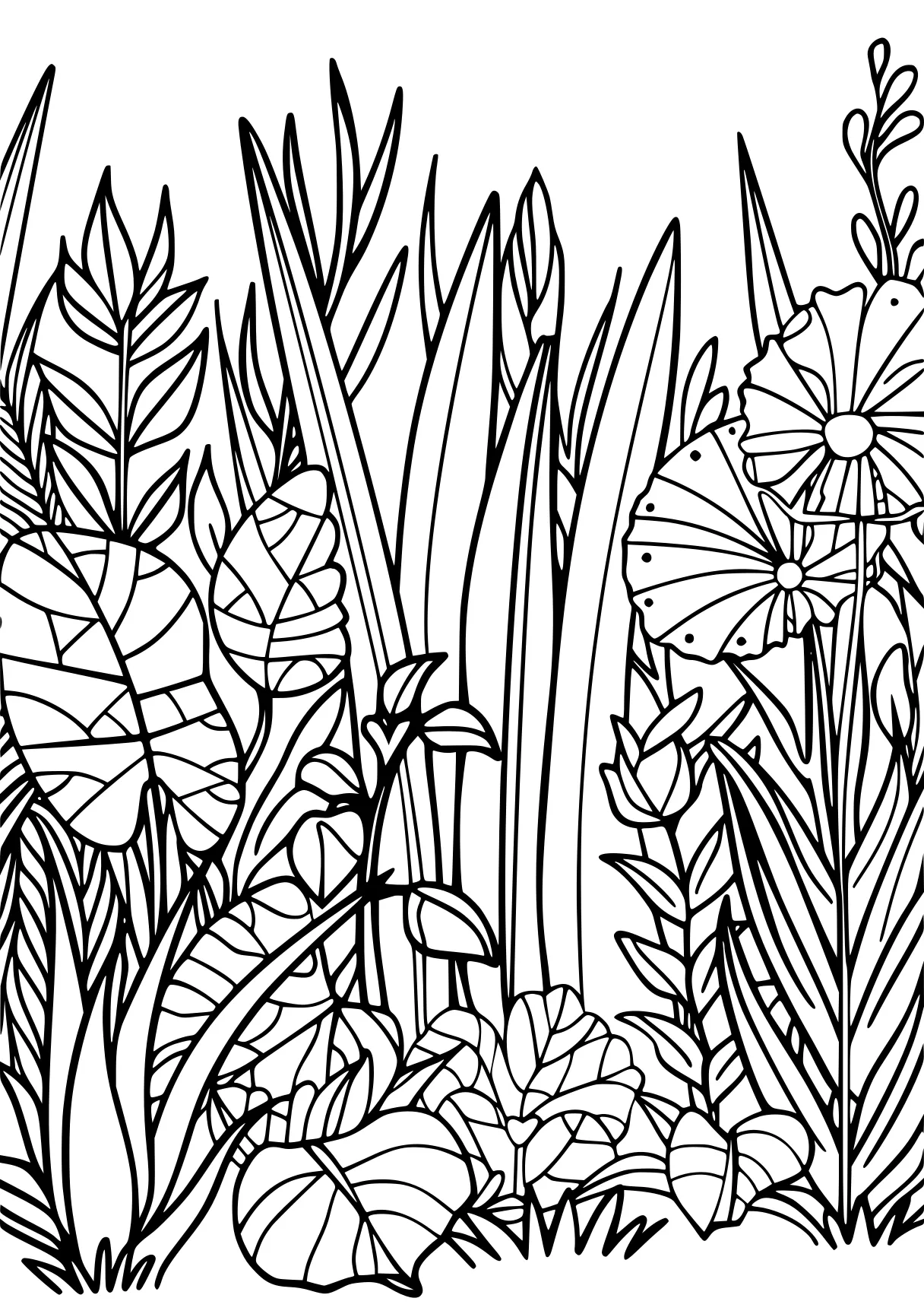 plant coloring pages, plants, colouring, coloring, free page downloads