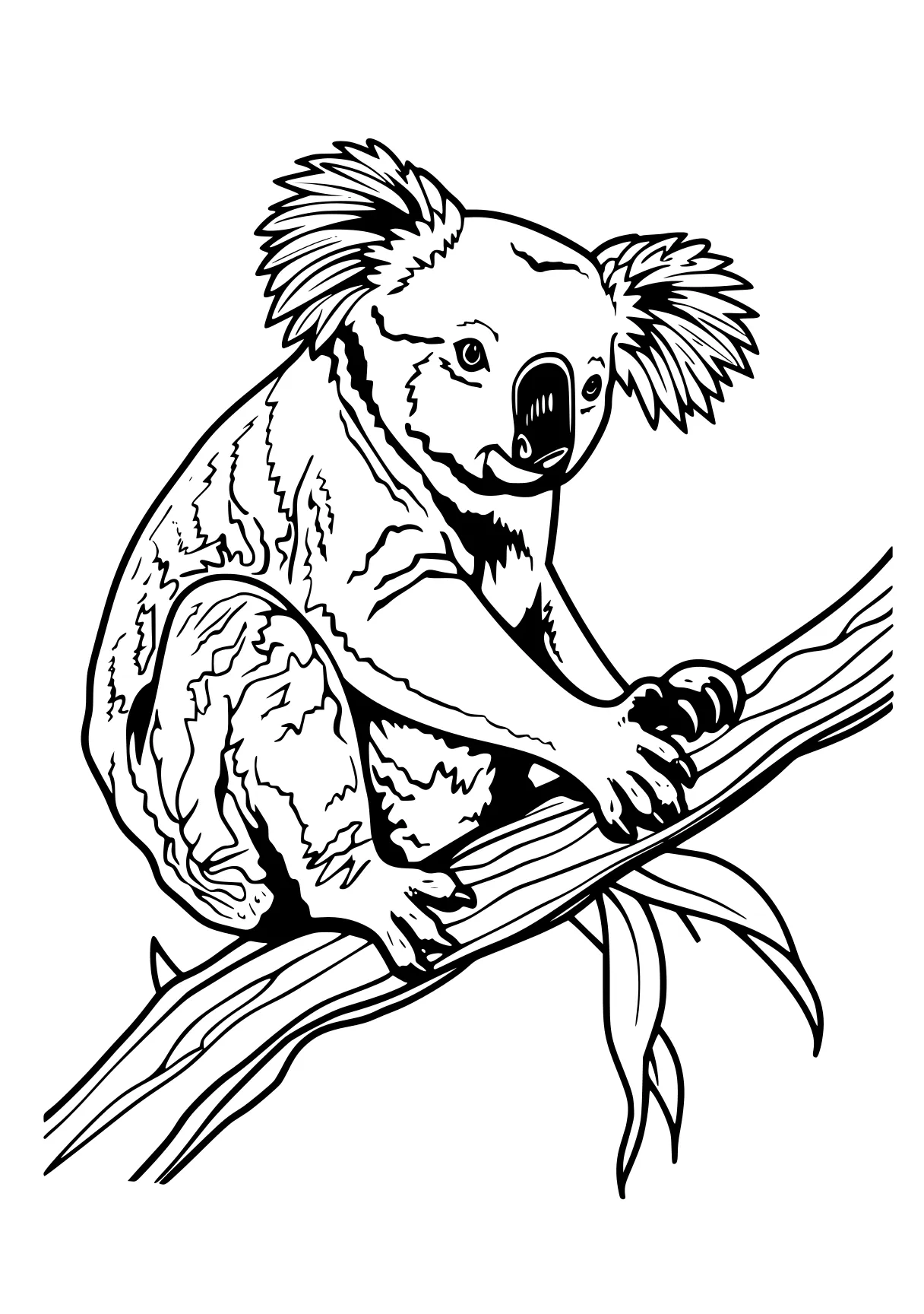 koala coloring page koala, illustrator, sloth, madagascar, bear, free downloads