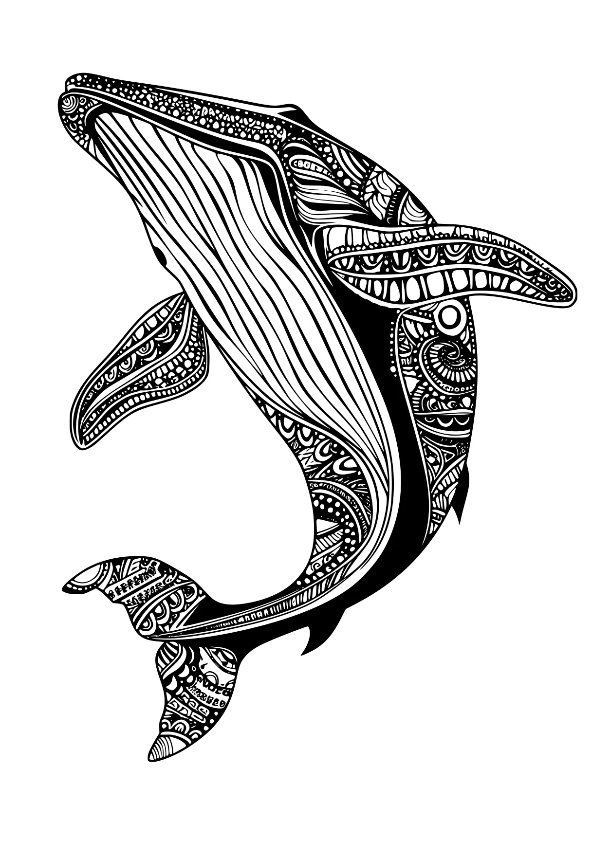 whale coloring page orca, whale, dolphin, whales, shark, free downloads