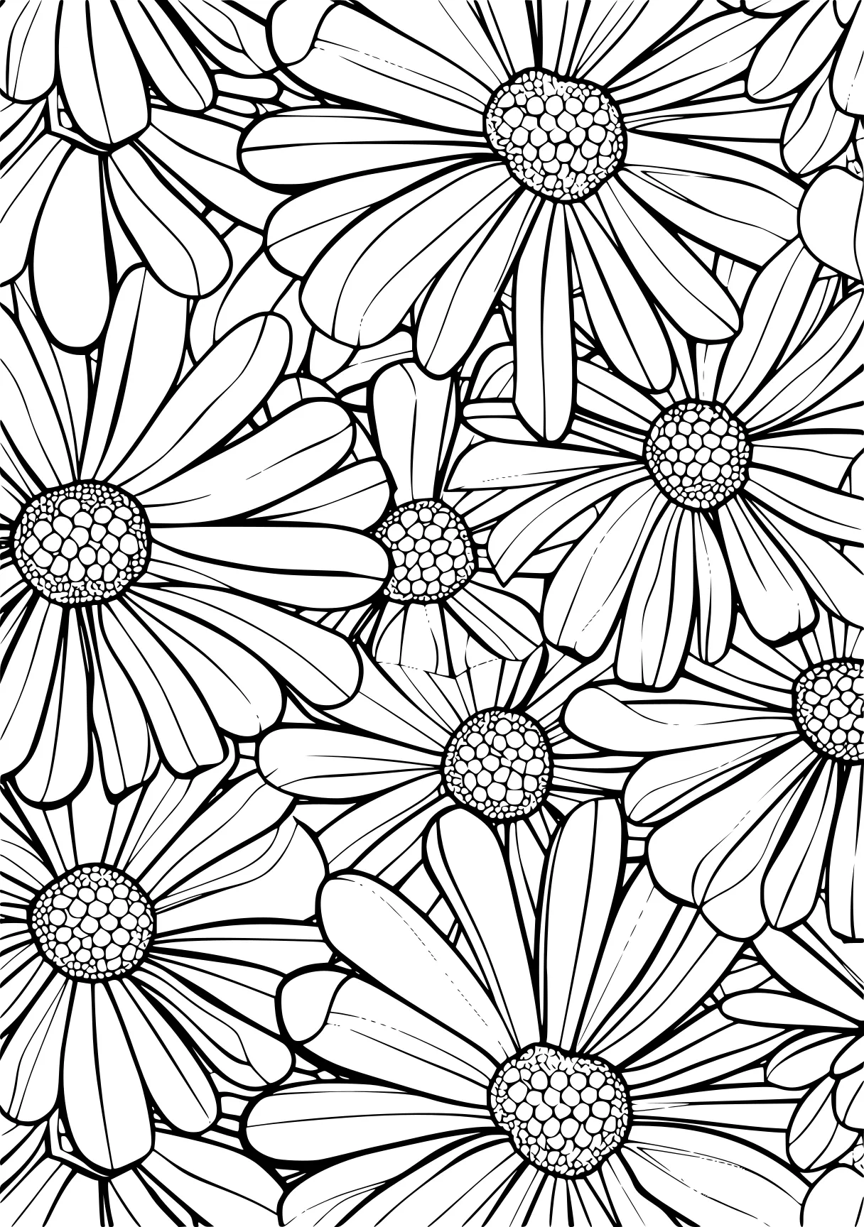 coloring pages for adults flowers, zentangle, mandalas, pattern, free page downloads