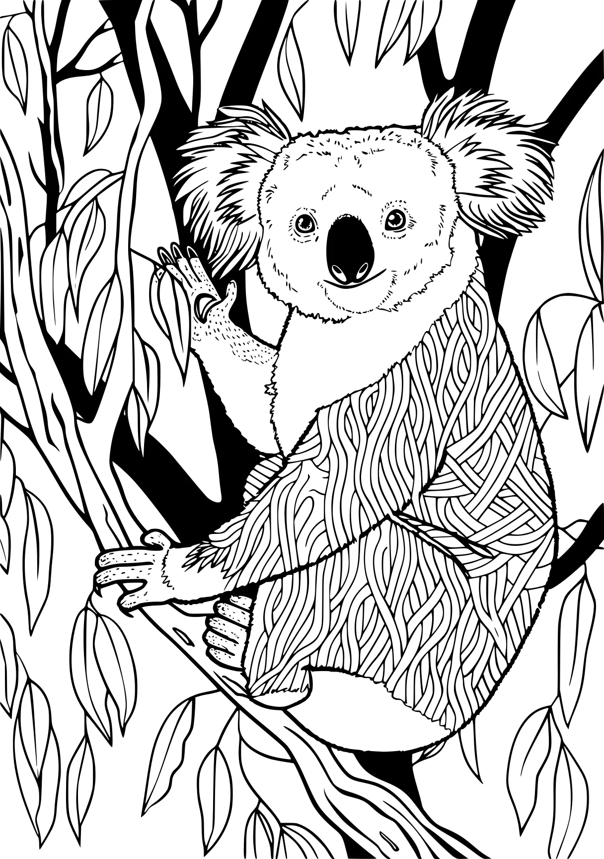 koala coloring pages sloth, koala, racoon, free page downloads