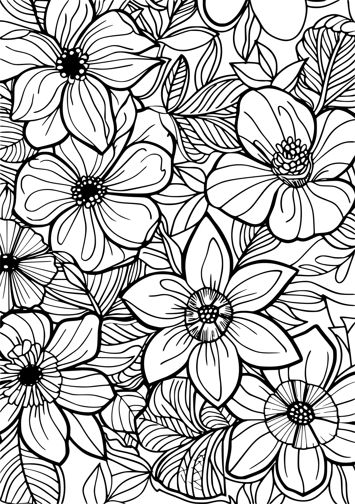 coloring pages printable adult, pattern, patterns, zentangle, free page downloads