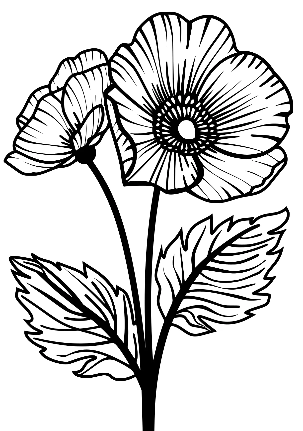 a flower coloring pages flower, tulip, flowers, poppy, free page downloads