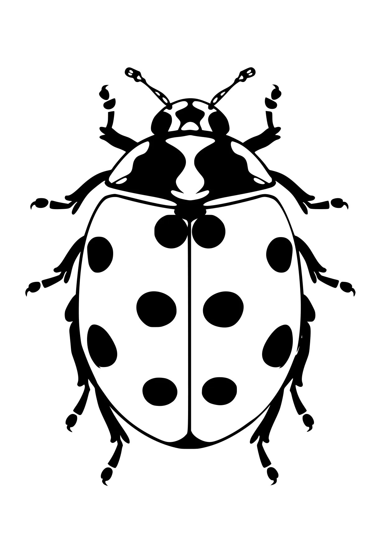 ladybug coloring page ladybug, insects, insect, bugs, size, free downloads