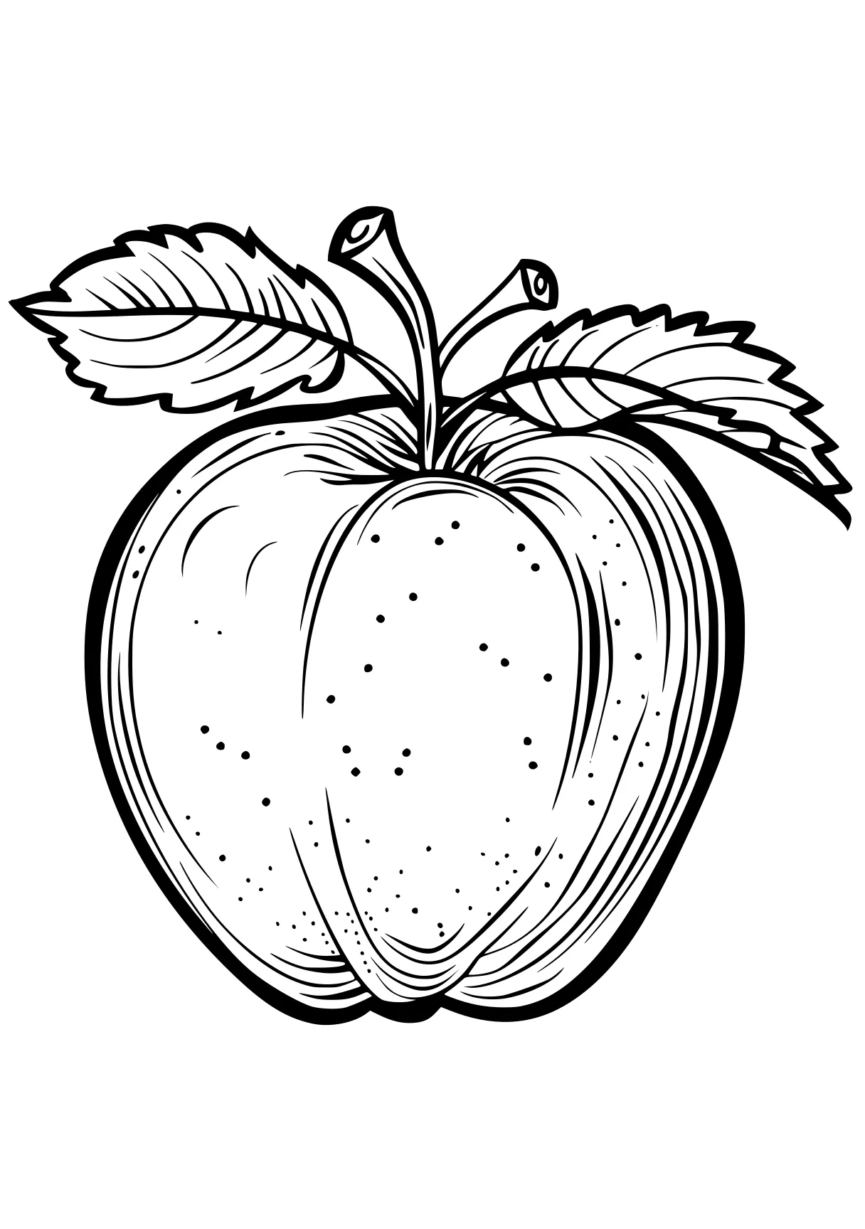 apple coloring sheet apple, vegetable, acorn, fruit, vegetables, free page downloads