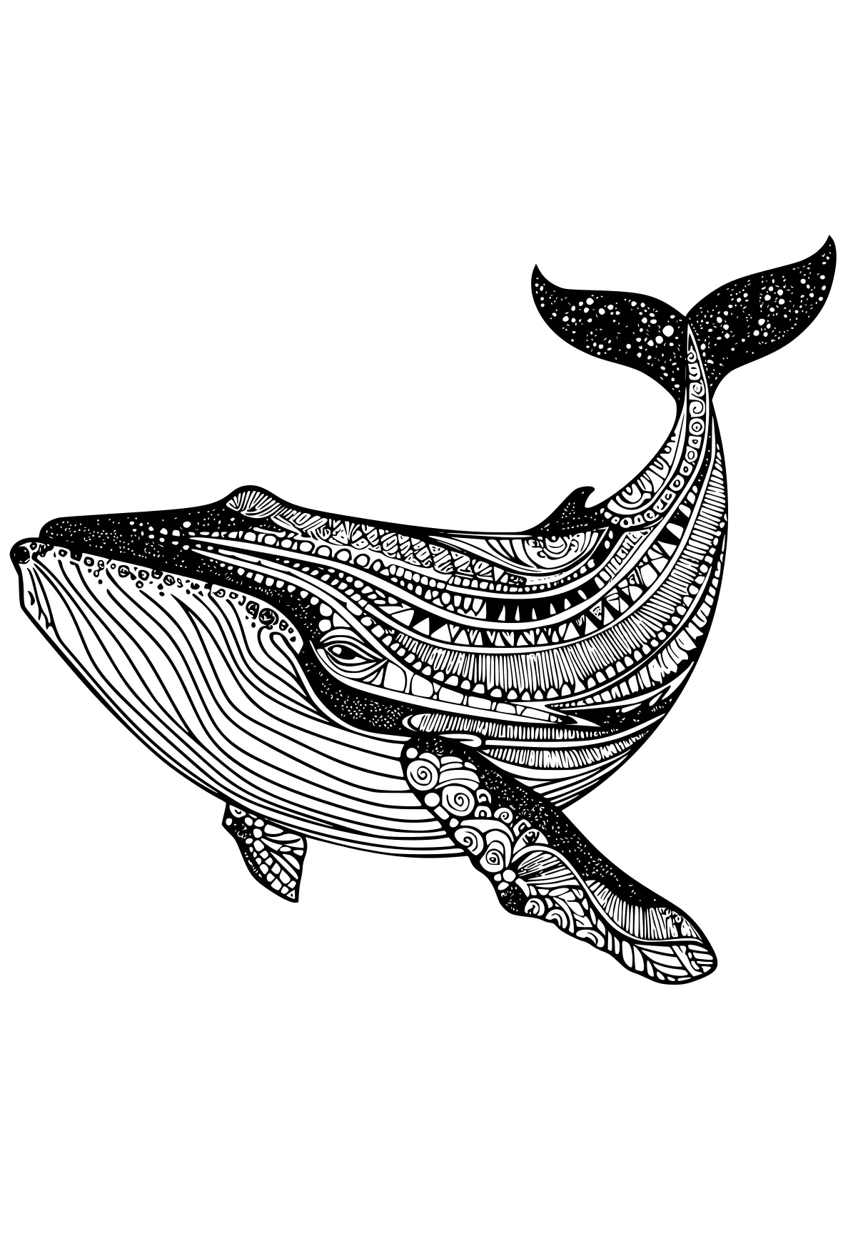 whale coloring page whale, whales, dolphin, orca, narwhal, free downloads