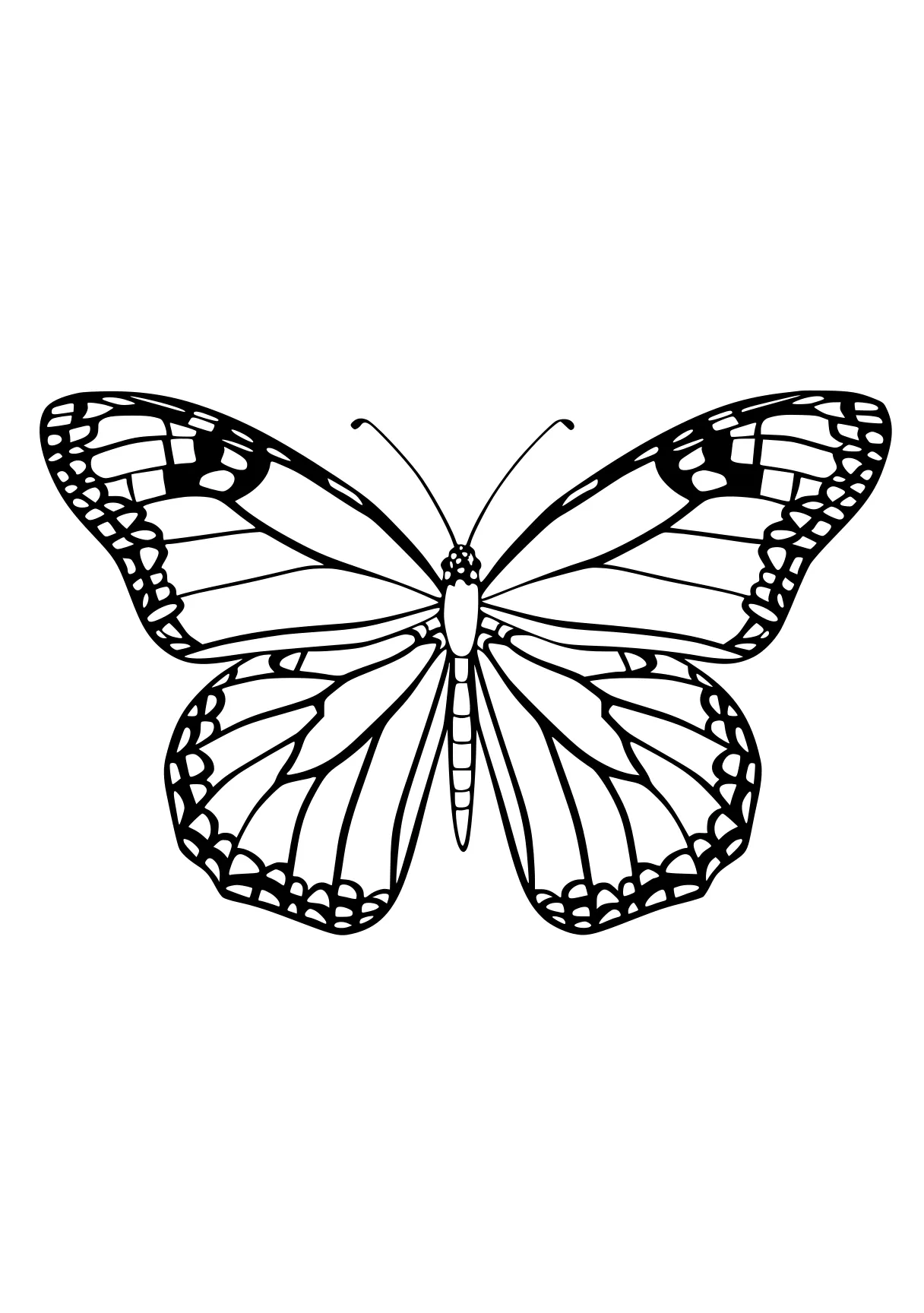 butterfly coloring sheet butterfly, butterflies, insect, adult, illustrator, free page downloads