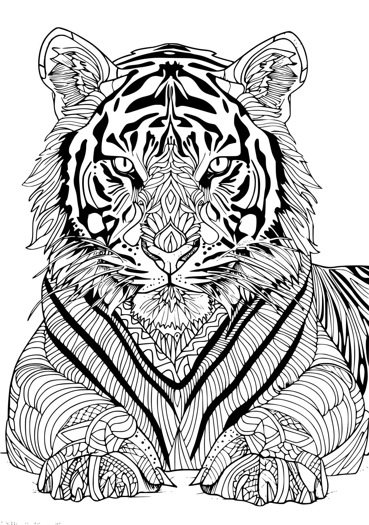 tiger coloring page tiger, zebra, lion, free downloads