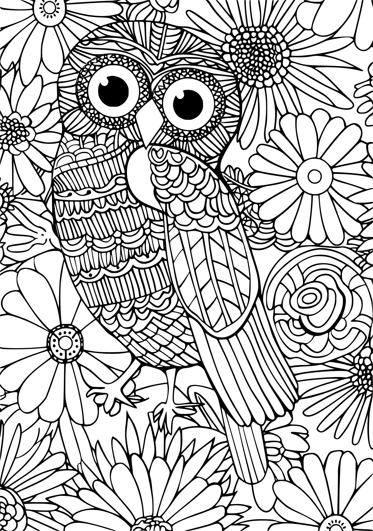 amazon coloring books for adults, owl, zentangle, colouring, free page downloads