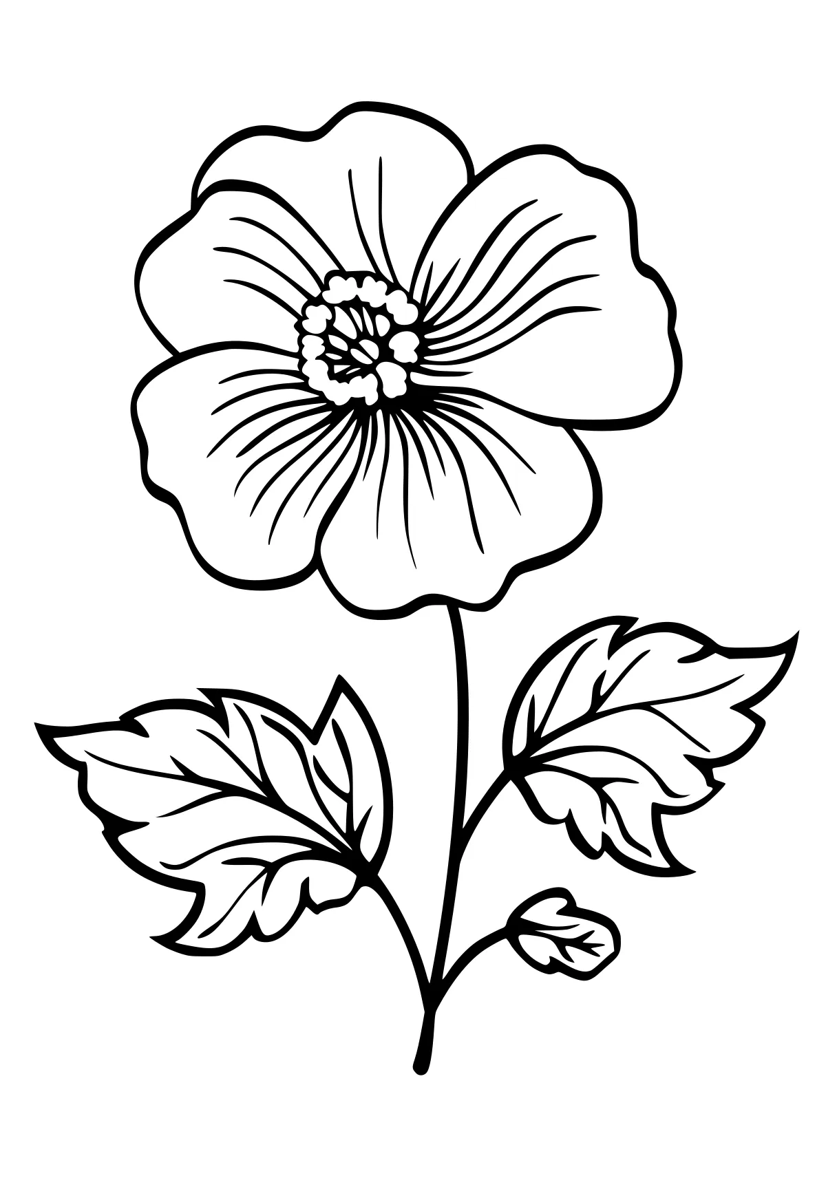 printable flower coloring pages flower, poppy, rosa, flowers, free page downloads