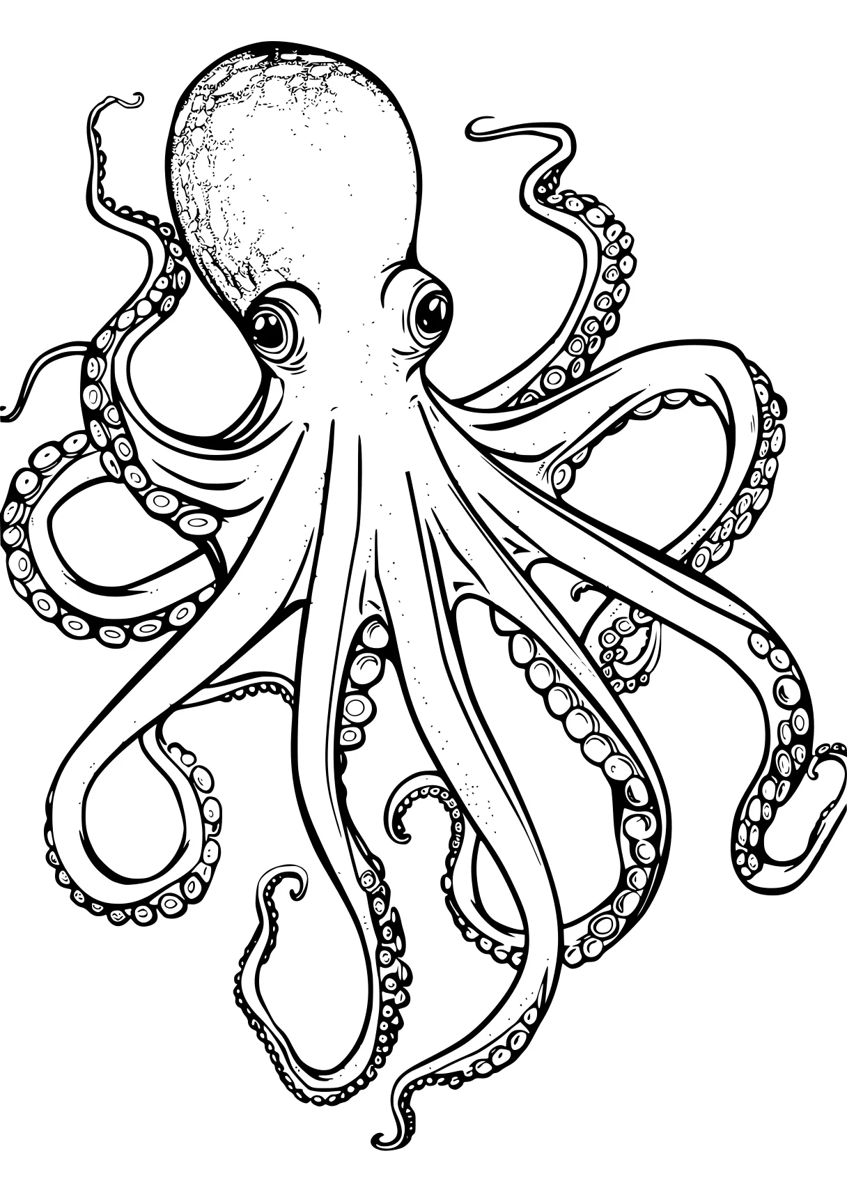 octopus coloring page octopus, illustrator, design, size, head, free downloads