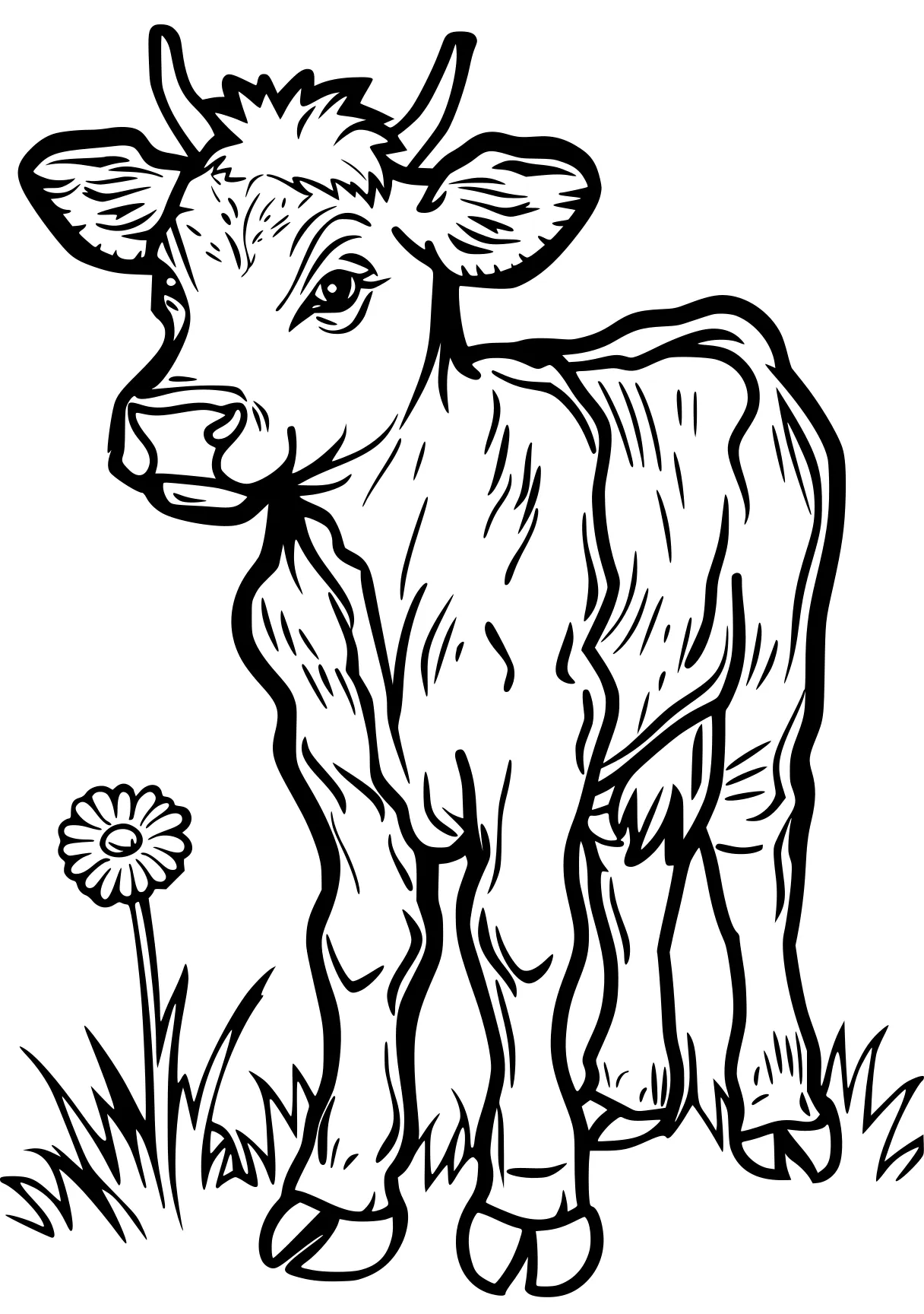 cow coloring pages cow, buffalo, sheep, illustrator, moose, free page downloads