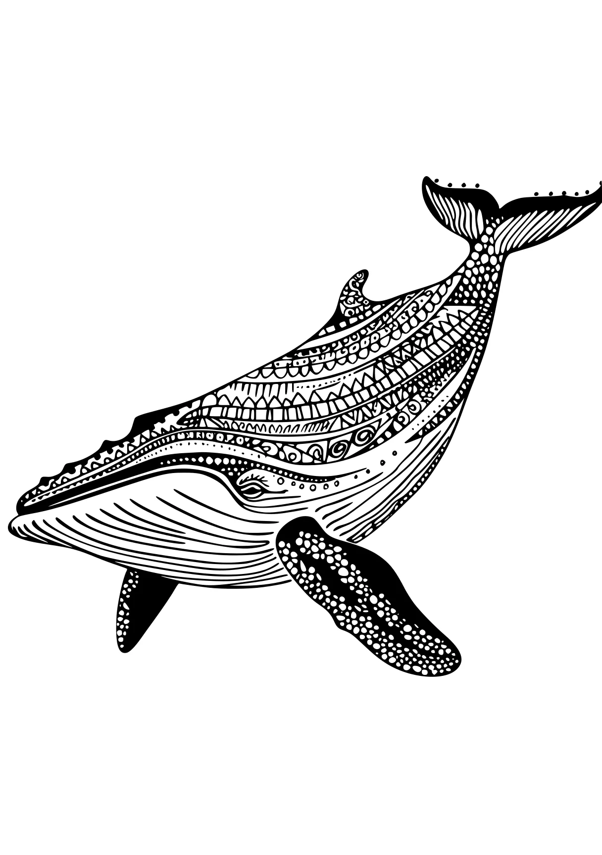 whale coloring page whale, whales, mosasaurus, dolphin, narwhal, free downloads