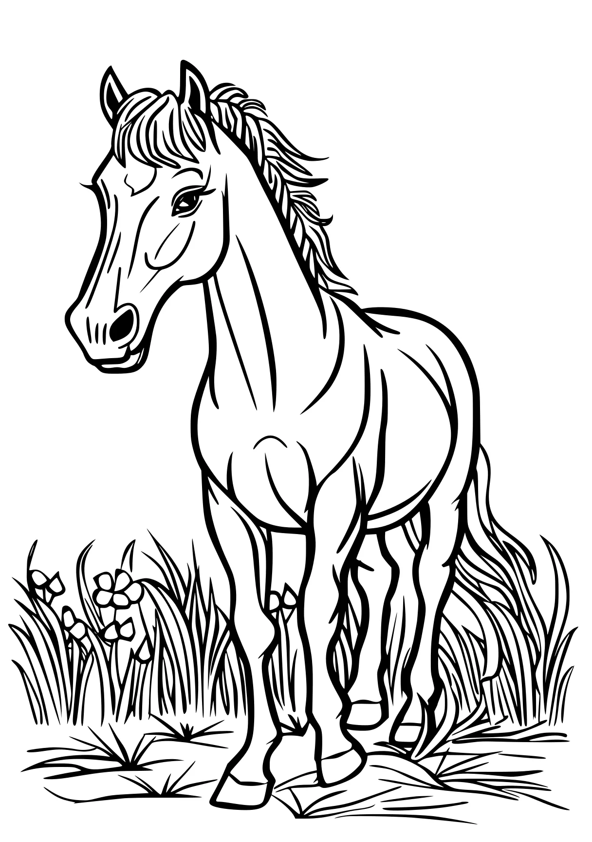 horse coloring sheet horse, unicorn, pony, caticorn, free page downloads