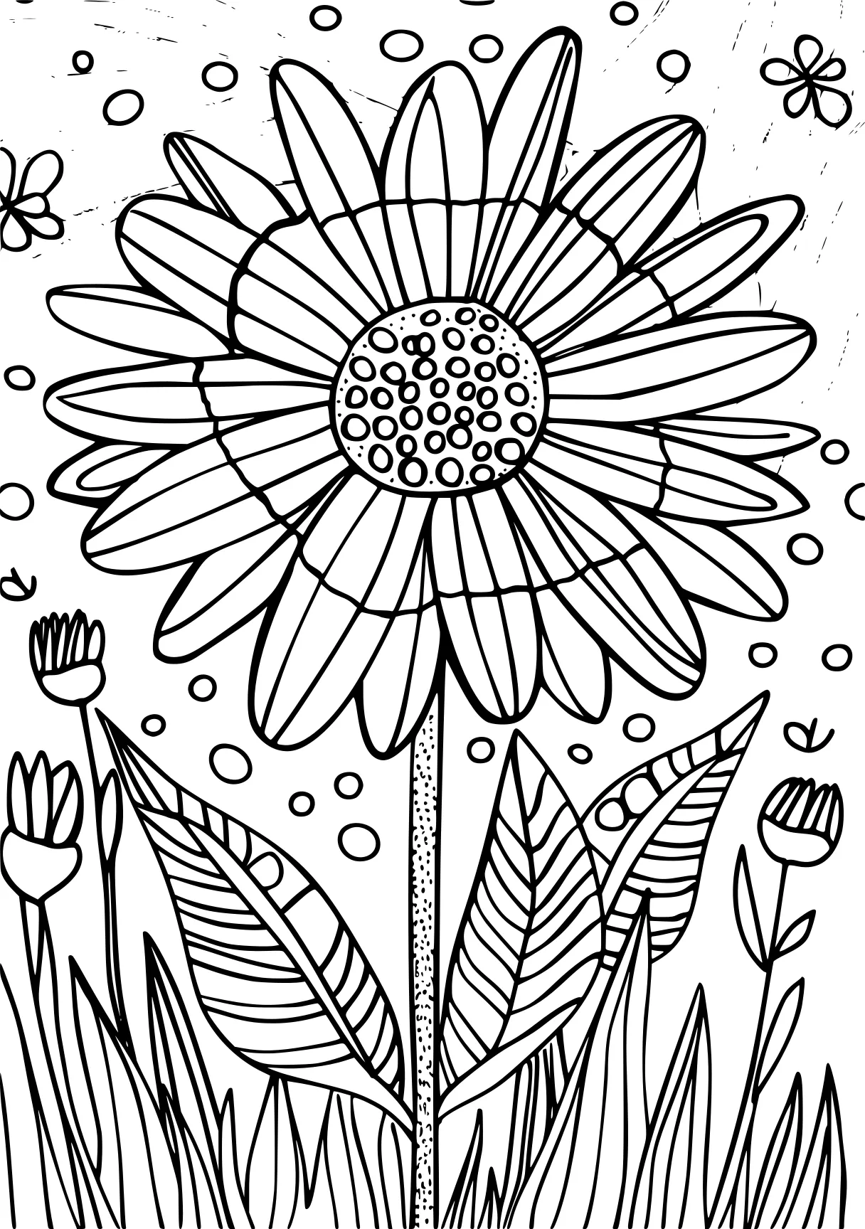 flower coloring, zentangle, sunflower, colouring, free page downloads