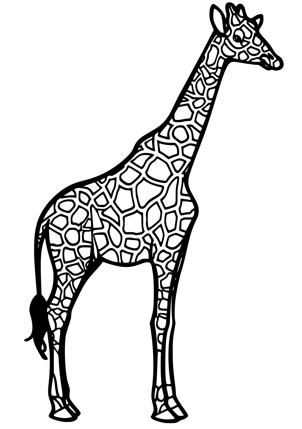 giraffe coloring pages brachiosaurus, giraffe, llama, camel, dino, free page downloads