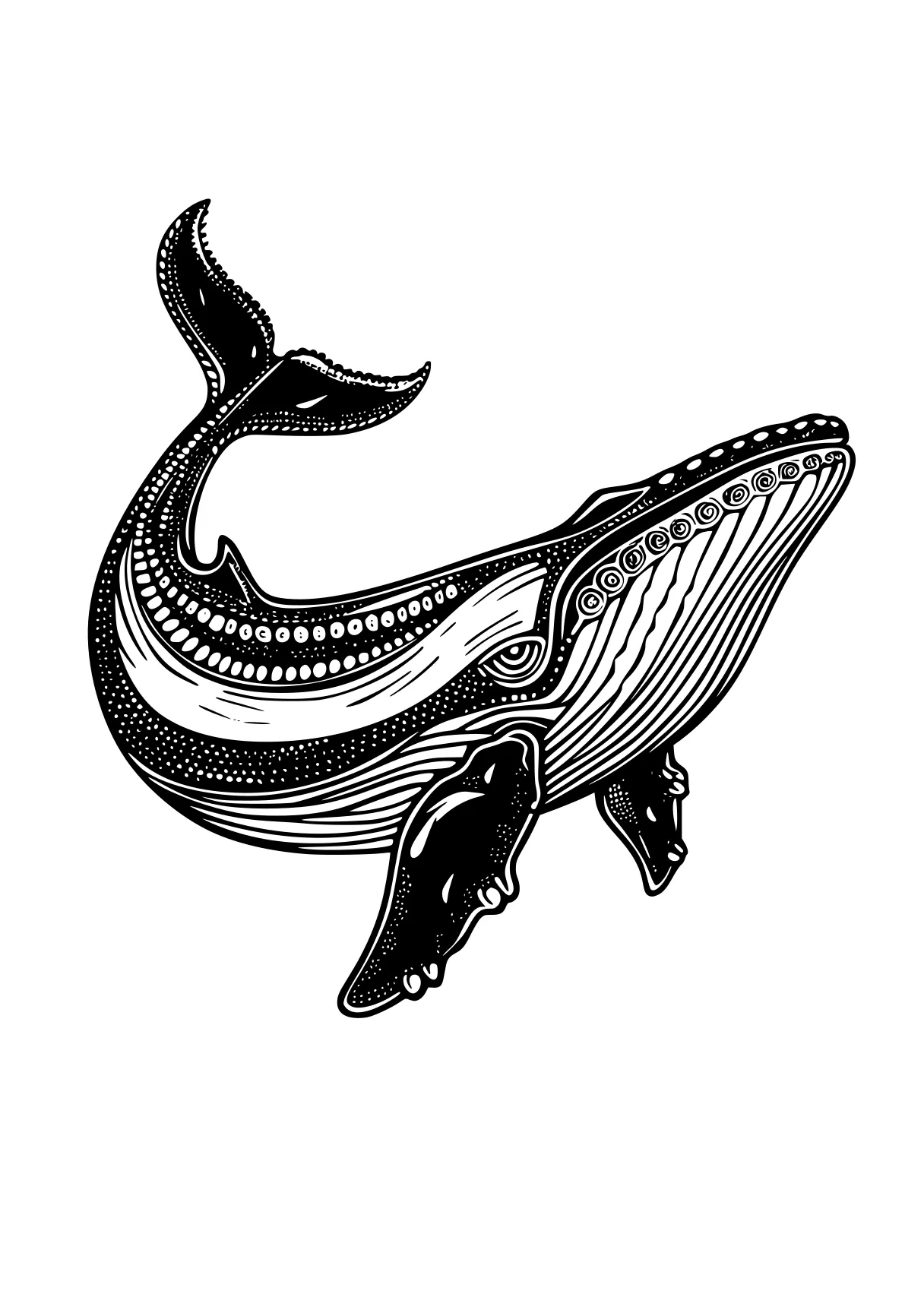 whale coloring page orca, whale, dolphin, whales, mosasaurus, free downloads