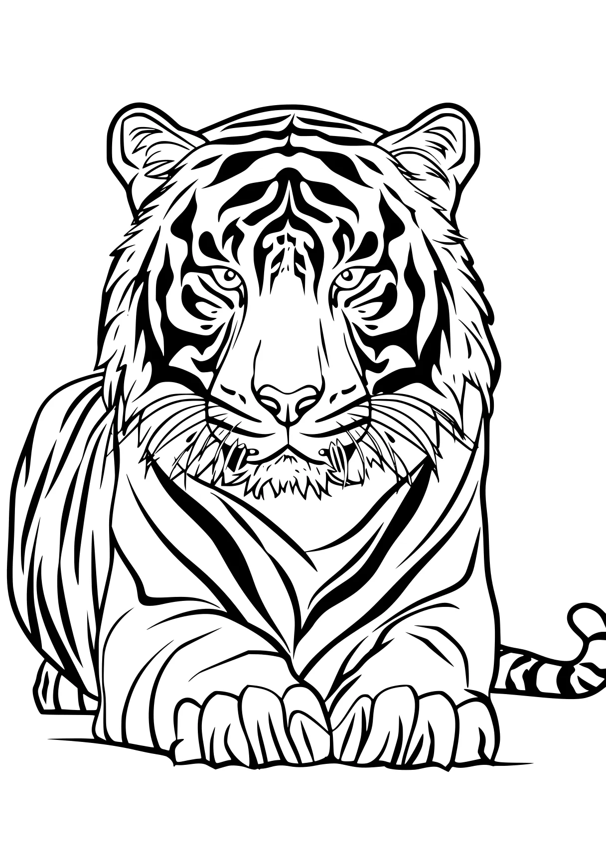 tiger coloring pages tiger, zebra, illustrator, free page downloads