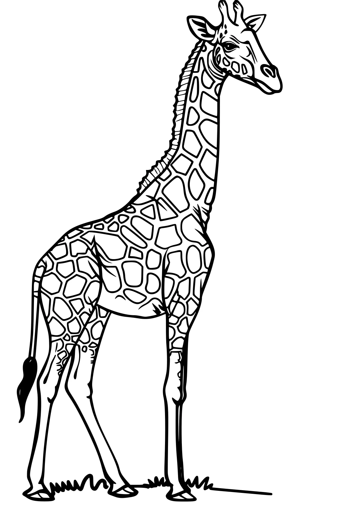 giraffe coloring giraffe, brachiosaurus, llama, camel, horse, free page downloads