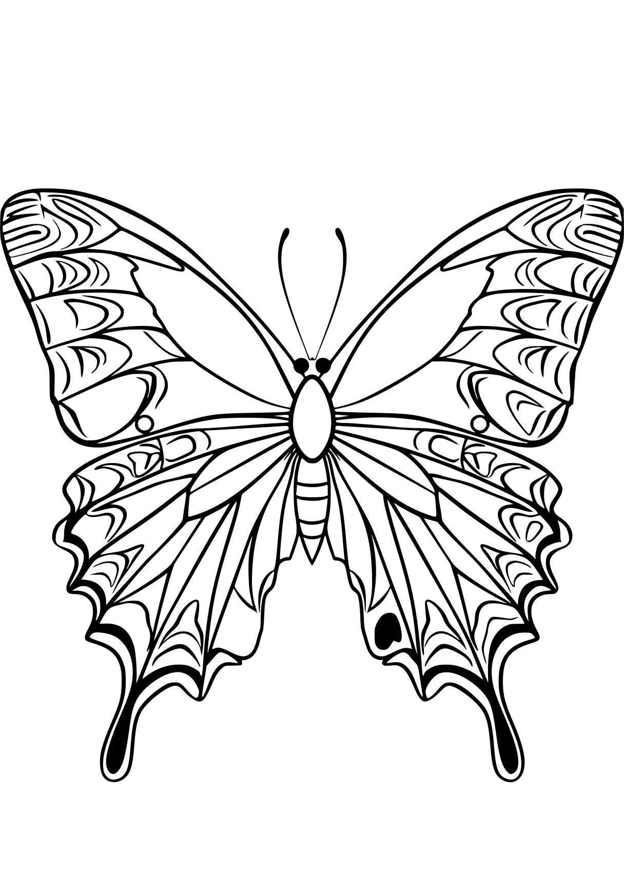 butterfly coloring sheet butterfly, butterflies, insect, free page downloads