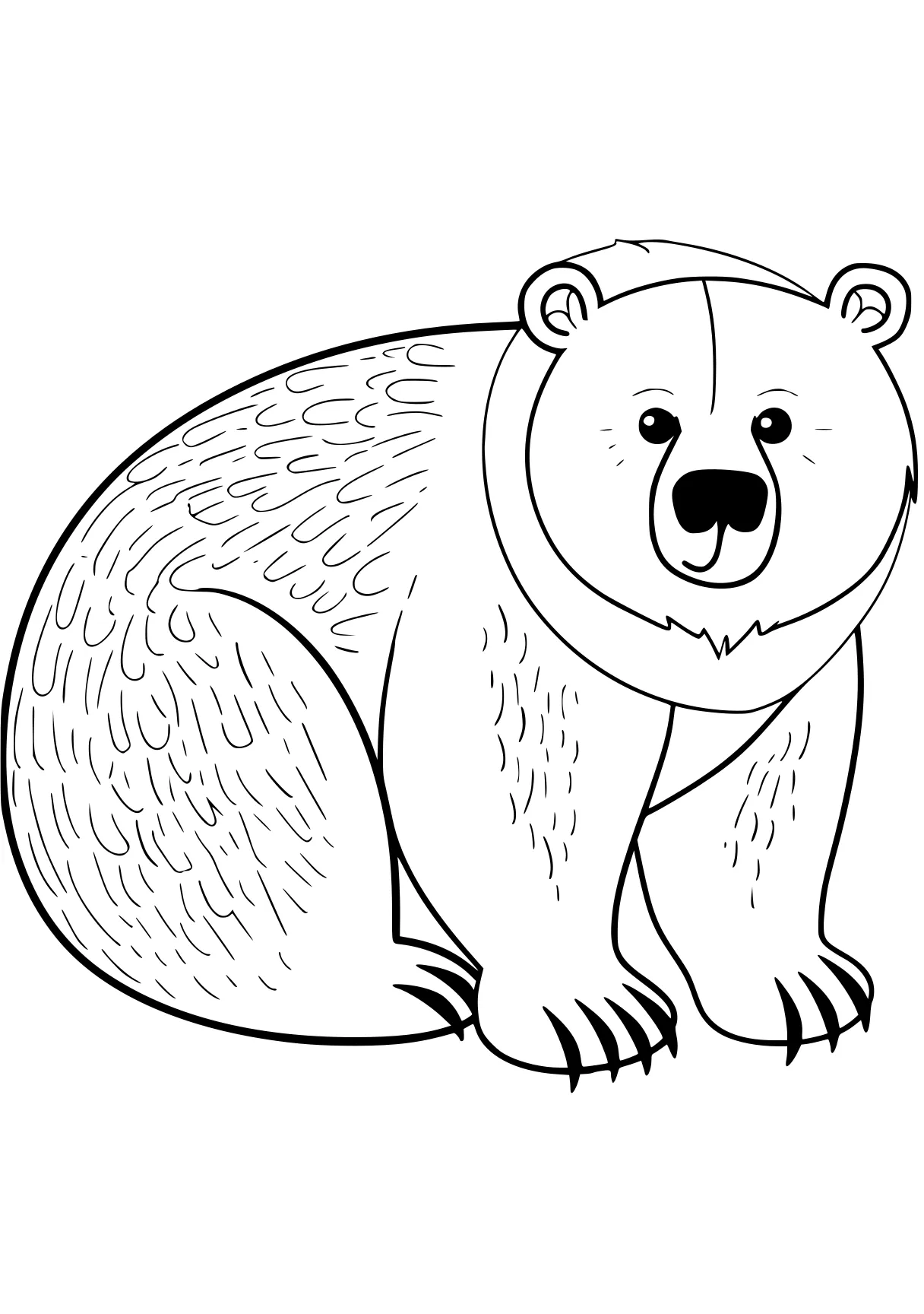 bear coloring pages bear, polar, bears, raccoon, panda, free page downloads