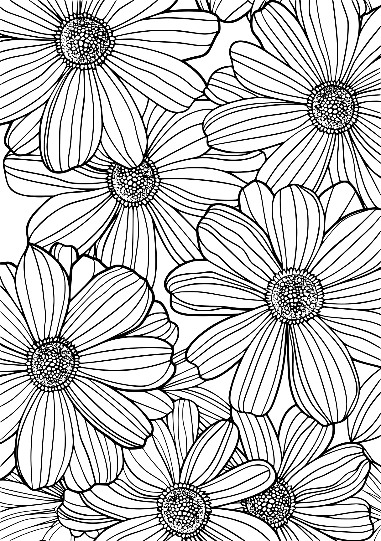 coloring pages for adults flowers, zentangle, pattern, sunflower, free page downloads